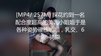 [MP4/ 257M] 探花约到一名配合度超高的美乳小姐姐于是各种姿势硬核啪啪，乳交、69、骑乘