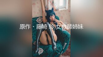 原作・藤崎 玲 女教師姉妹