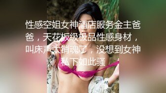 性感空姐女神酒店服务金主爸爸，天花板级极品性感身材，叫床声太销魂了，没想到女神私下如此骚