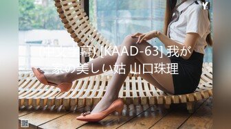 (中文字幕) [KAAD-63] 我が家の美しい姑 山口珠理