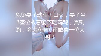 兔兔妻子动车上口交，妻子坐B座位故意躺下吃鸡鸡，真刺激，旁边A座位还做着一位大哥！