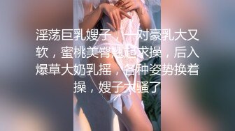 淫荡巨乳嫂子，一对豪乳大又软，蜜桃美臀翘起求操，后入爆草大奶乳摇，各种姿势换着操，嫂子太骚了