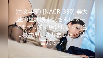 (中文字幕) [NACR-390] 美大生の巨乳娘 お父さんにヌードモデルをお願いしたら興奮して中出しされました。 詩音乃らん