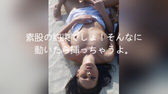 素股の約束でしょ！そんなに動いたら挿っちゃうよ。