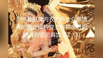 广州某品牌内衣发布会众多漂亮的美女模特穿上各种半透明的内衣要流鼻血了2  (3)