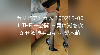 カリビアンコム 100219-001 THE 未公開 ～男に潮を吹かせる神手コキ～ 梨木萌