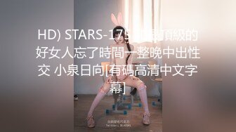 HD) STARS-175 和最頂級的好女人忘了時間一整晚中出性交 小泉日向[有碼高清中文字幕]