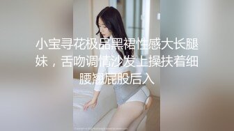 小宝寻花极品黑裙性感大长腿妹，舌吻调情沙发上操扶着细腰翘屁股后入