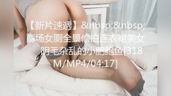 【新片速遞】&nbsp;&nbsp;商场女厕全景偷拍连衣裙美女❤️阴毛杂乱的小肥鲍鱼[318M/MP4/04:17]