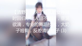 【清野】消失了好久的女神限时回归，让人目不转睛，垂涎欲滴，专业的舞蹈技术，大奶子翘臀，反差清纯婊子 (3)