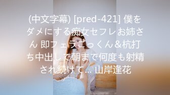 (中文字幕) [pred-421] 僕をダメにする痴女セフレお姉さん 即フェラごっくん＆杭打ち中出しで朝まで何度も射精され続けて… 山岸逢花