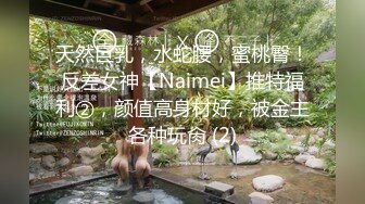 天然巨乳，水蛇腰，蜜桃臀！反差女神【Naimei】推特福利②，颜值高身材好，被金主各种玩肏 (2)