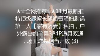 ★☆全网推荐☆★11月最新推特顶级绿帽长腿翘臀骚妇刷锅第一人【家有娇妻】私拍，户外露出约单男3P4P道具双通，场面炸裂相当开放 (3)