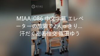 MIAA-086 中文字幕 エレベーターの故障で2人っきり… 汗だく密著性交 篠田ゆう