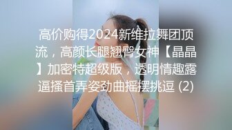 高价购得2024新维拉舞团顶流，高颜长腿翘臀女神【晶晶】加密特超级版，透明情趣露逼搔首弄姿劲曲摇摆挑逗 (2)