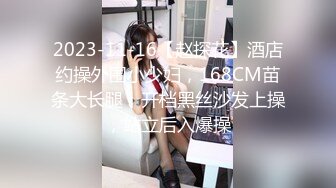 2023-11-16【赵探花】酒店约操外围小少妇，168CM苗条大长腿，开档黑丝沙发上操，站立后入爆操